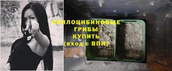 тгк Белокуриха