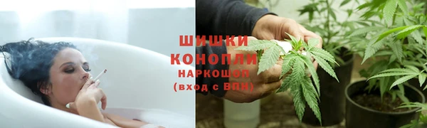 тгк Белокуриха