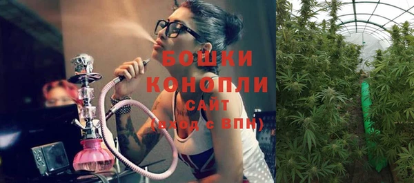 тгк Белокуриха