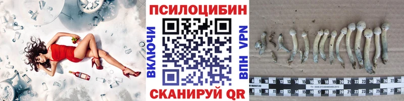 Галлюциногенные грибы MAGIC MUSHROOMS Верхний Тагил
